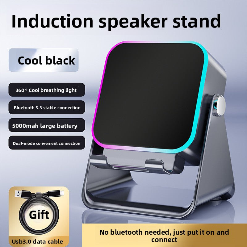 Bluetooth Speaker Stand